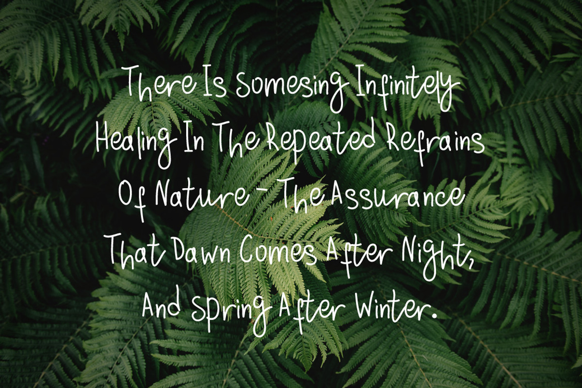 Sylvestre nature handwritten font preview 7