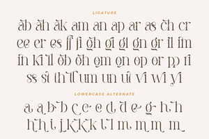 Pastel Orange - Casual Serif Fonts