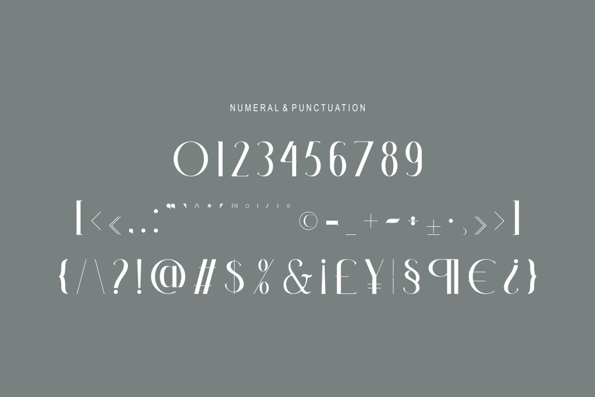 Emellda, a Serif Font by Kenrichi (Photo 3 of 12)