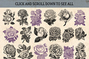 87% OFF Vintage Bundle - Free Update, an Animal Illustration by Brigantine Designs (Thumbnail 18 of 21)