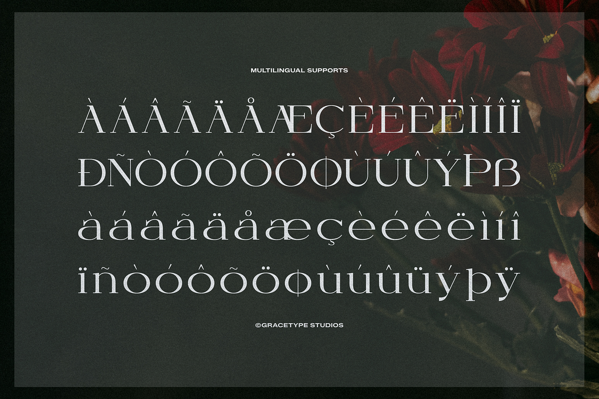Orcars | Classic Serif Font, a Serif Font by gracetype_studio (Photo 12 of 12)