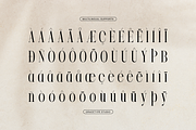 Lequano | New Display Serif, a Serif Font by gracetype_studio (Thumbnail 11 of 12)