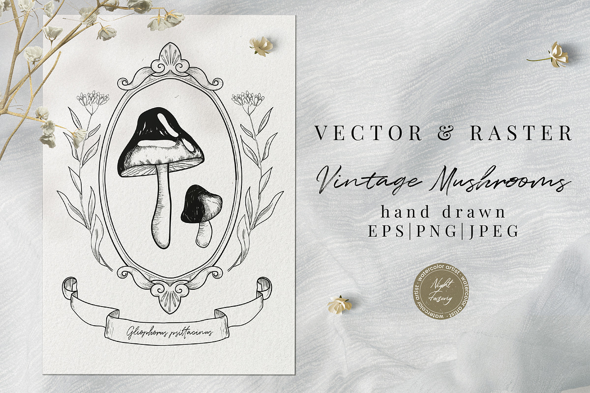 Hand Drawn Vector Vintage Mushrooms, a Decorative Illustration by foxsong (Photo 1 of 12)