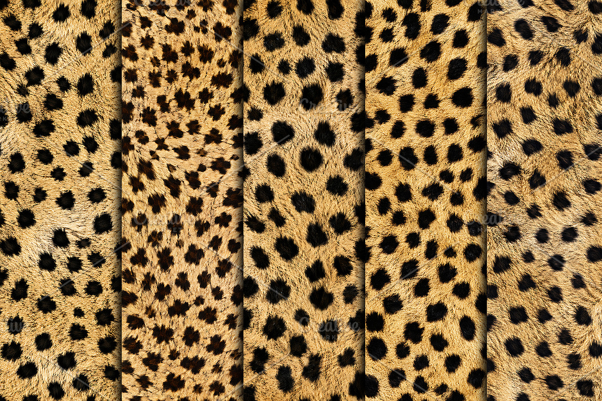 Realistic Cheetah Print Fur Texture, a Pattern Graphic by Artonix (Photo 2 of 4)