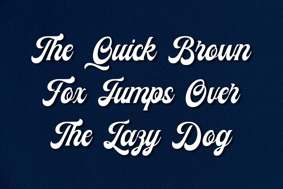 Hewlena, a Script Font by dansdesign (Photo 4 of 8)