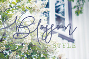 Pattersonville Script Font, a Script Font by Creativeqube Design (Thumbnail 2 of 26)