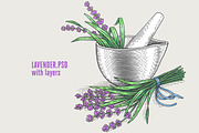 Herbs Bundle engravings, a Food Illustration by Irina Trusova (Thumbnail 4 of 9)