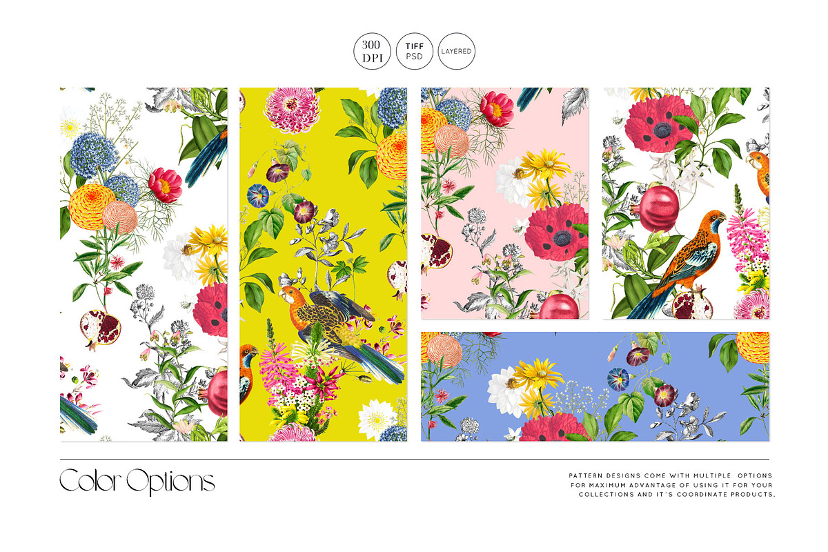 Paradise Florals Prints & Motifs, a Pattern Graphic by TSTUDIO (Photo 5 of 13)