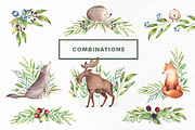 Watercolor Forest Animals Set, an Object Graphic by Kotulska (Thumbnail 3 of 6)