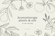 1500+ All Illustrations Bundle, a Decorative Illustration by Crocus Paperi (Thumbnail 7 of 25)