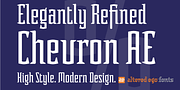 Acolyte AE, a Serif Font by Altered Ego Fonts (Thumbnail 2 of 2)