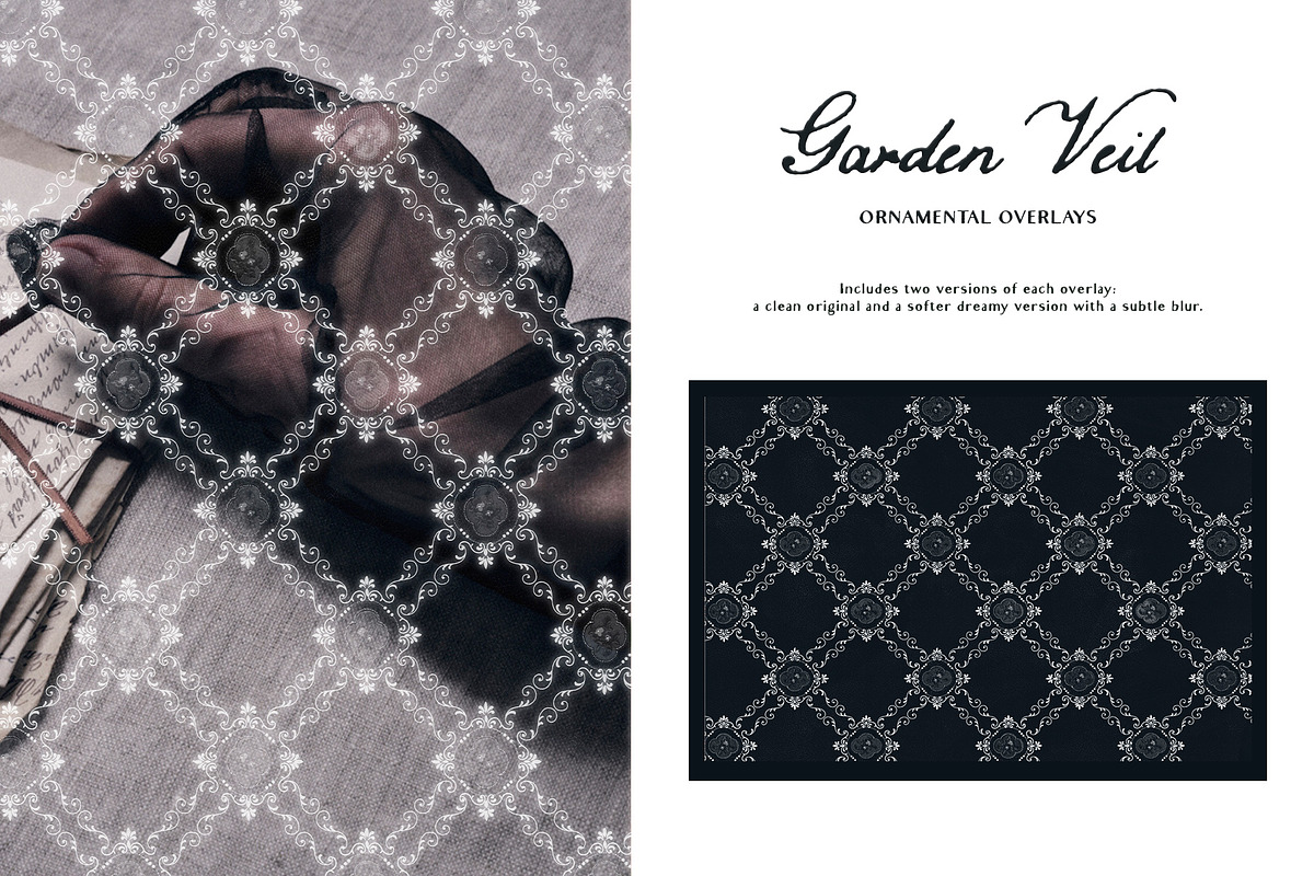 Garden Veil: Lace Overlays, a Texture Graphic by Purple (Photo 2 of 16)