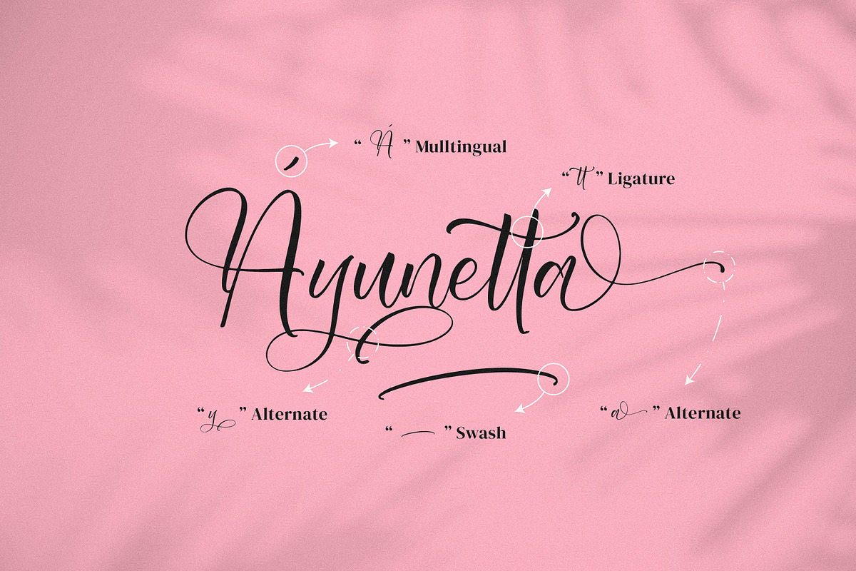 Shaquitta, a Script Font by Integritype Studio (Photo 14 of 15)