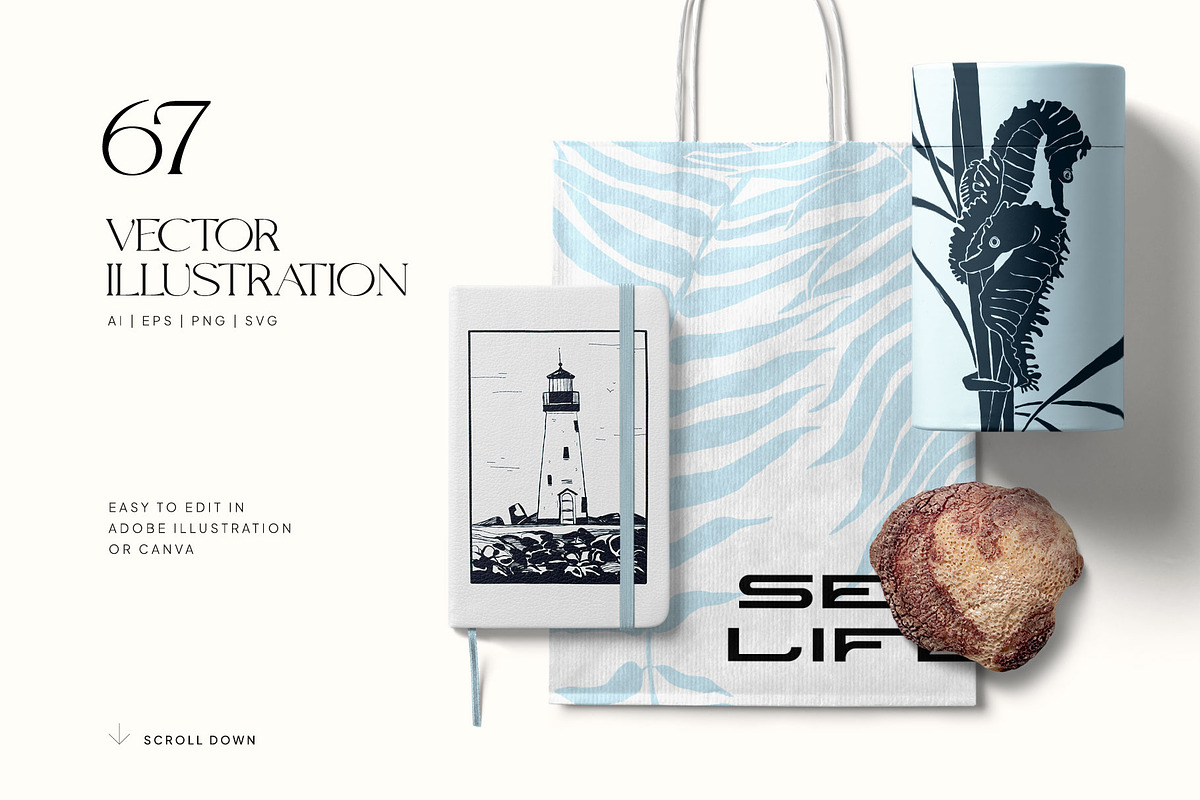 Sealife |  Poster Builder, an Object Graphic by KetteCreate (Photo 11 of 12)