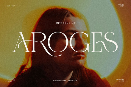Aroges Elegant Serif Font, a Serif Font by Perfectype