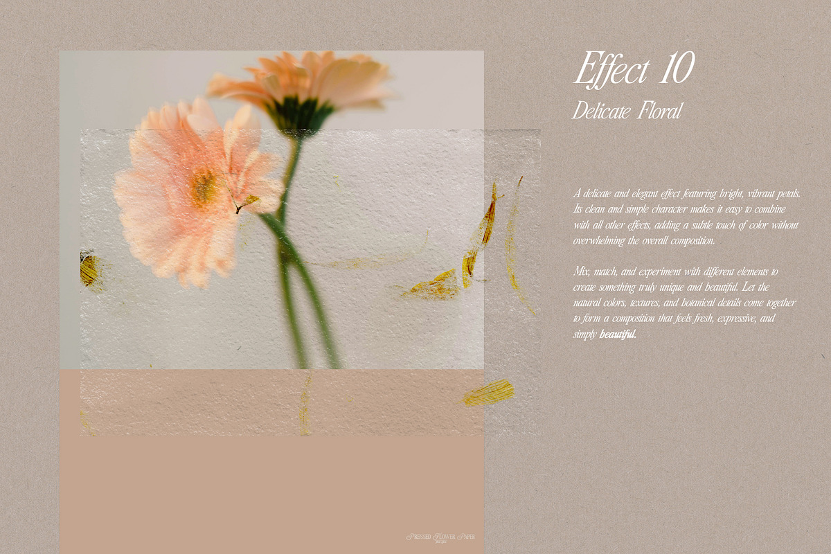 Pressed Flower Paper Effects, a Layer Style Add-On by Kaleriia (Photo 20 of 21)