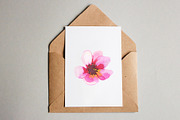 Floral boom, a Decorative Illustration by Maria's little shop (Thumbnail 5 of 7)