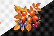Watercolor Autumn Flower Pumpkin Png, an Illustration by Creative Art (Thumbnail 3 of 7)