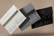 Selora Elegant Swash Serif Font, a Serif Font by Rasio Studio (Thumbnail 7 of 9)