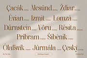 Emofera | Modern Serif Font, a Serif Font by The_Type (Thumbnail 6 of 12)