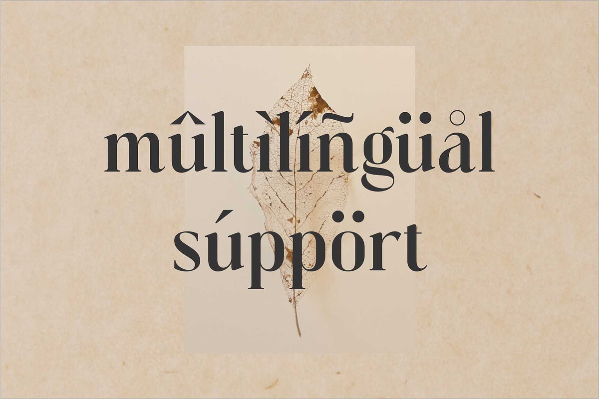 Vattea Villany Modern Serif Typeface, a Serif Font by Dylla_studio (Photo 8 of 10)