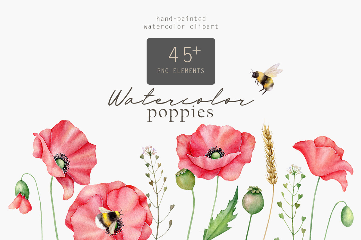 Poppies clipart Watercolor, an Illustration by Daryartsy (Photo 1 of 14)