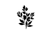 Floral Ornament Silhouette Bundle, an Illustration by BIPLOB EXPERT (Thumbnail 32 of 51)