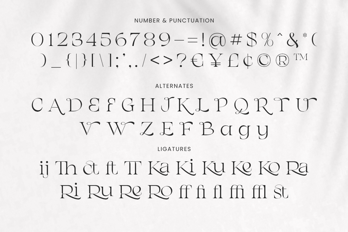 Chanceux Modern Stylish Serif, a Serif Font by Creatype Studio (Photo 6 of 10)