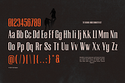 TRT Regard Condensed Display Font, a Serif Font by truetype (Thumbnail 7 of 15)