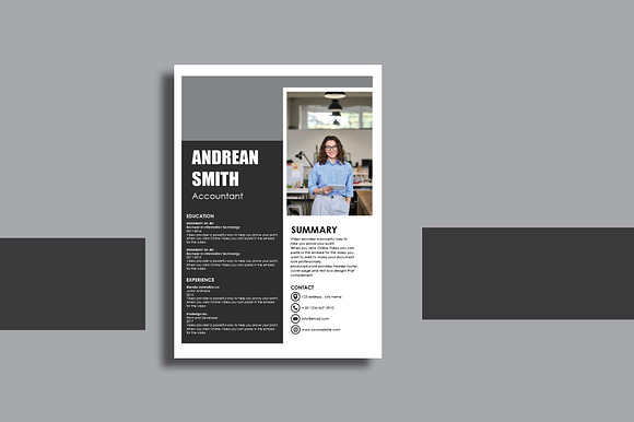 Resume Template Accountant4 preview 3