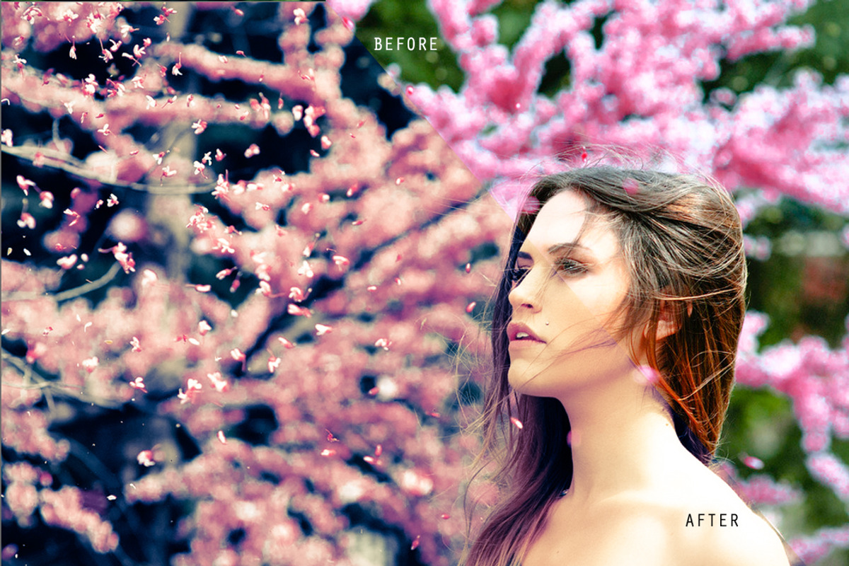 50 % off Lightroom Starter Kit preview 2
