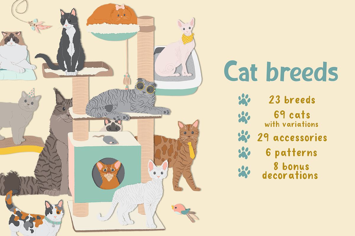 Cat breeds vector clipart, an Object Graphic by Trinibis (Photo 1 of 11)
