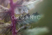 Organic | 20 Botanical Photos, a Nature Photo by Melanie Helena (Thumbnail 2 of 20)