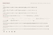 Taillevere: Luxury Didone Serif, a Serif Font by Build Interactive (Thumbnail 3 of 6)