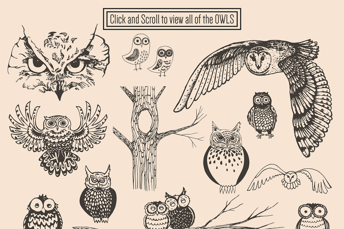Northern Wilderness Collection: Owls, an Animal Illustration by Barn Owl Studio (Photo 3 of 5)
