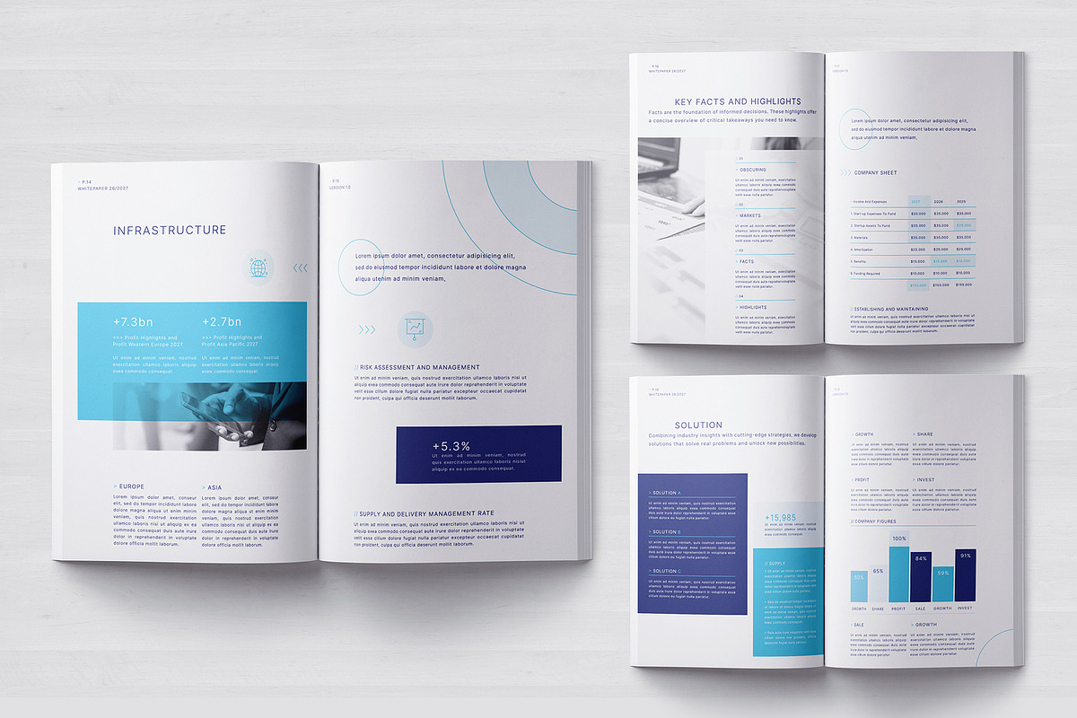 Business White Paper Template, a Brochure Template by Designsoul14 (Photo 8 of 13)
