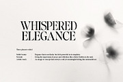 Baliths Serif, a Serif Font by Pista Mova (Thumbnail 5 of 23)
