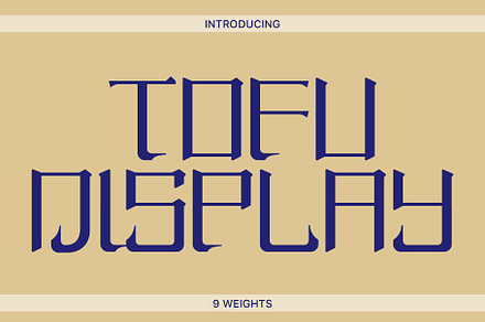 Tofu Display, a Font by Nguyen Type