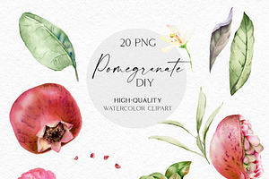 Watercolor Pomegranate Botanical