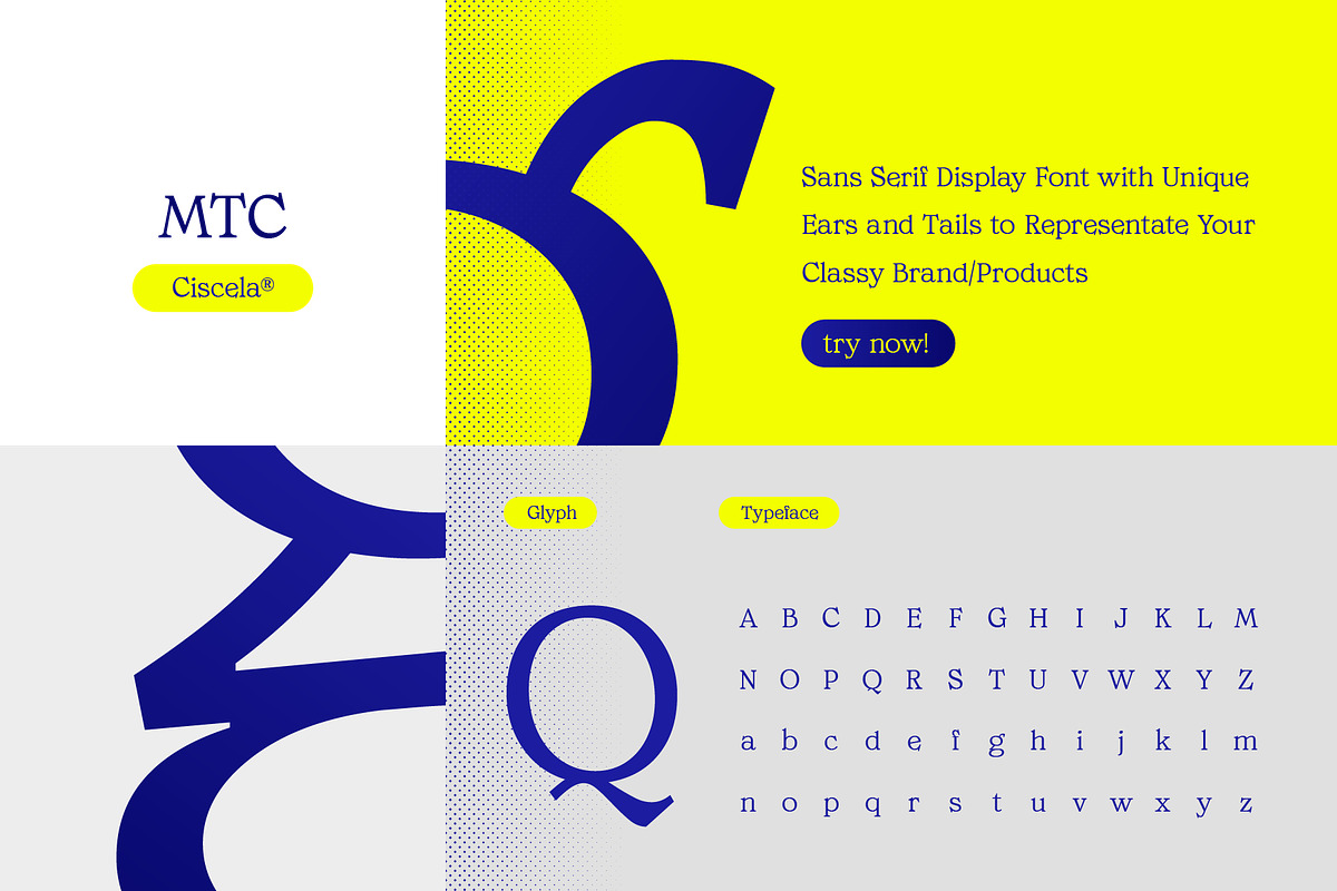 MTC Ciscela - Unique Serif Display, a Serif Font by Martype Co (Photo 2 of 9)