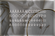 Corina Elegant | Modern Slab Serif, a Slab Serif Font by gracetype_studio (Thumbnail 11 of 12)