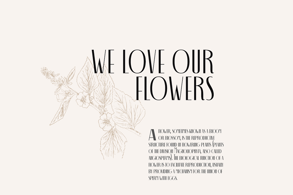 Decohead Display, a Sans Serif Font by Headfonts (Photo 8 of 10)