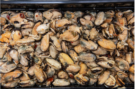 Mussels shrimp in plastic container, a Food & Drink Photo by Jan Jack Russo Media