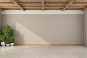 Empty room with houseplants and wooden ceiling