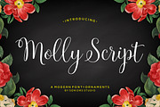 Font Collection | 33 Fonts, a Script Font by Seniors (Thumbnail 30 of 66)