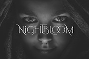 Arrogant Font, a Serif Font by Graphicdome (Thumbnail 10 of 24)