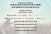 Momentic Wonderful | Script Font, a Script Font by Scratchones (Thumbnail 7 of 8)