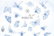 INSECTS & FLOWERS line art set, a Decorative Illustration by Yuliia Lashevska (Thumbnail 10 of 12)