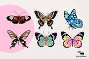 HAND-DRAWN BUTTERFLY COLLECTION, an Object Graphic by Lazy Cat (Thumbnail 4 of 5)