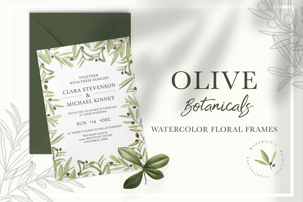 OLIVE BOTANICALS Watercolor & Line, a Work Illustration by Momo Studio (Photo 7 of 15)